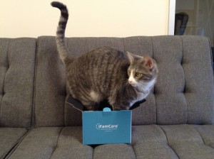 Adult tabby cat sitting inside a small box from iFamCare home monitor