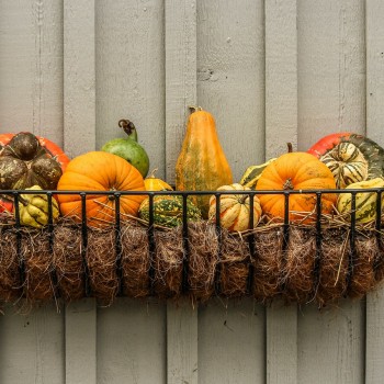 Thanksgiving decoration made of wire basket with hay and gourds on a wooden wall