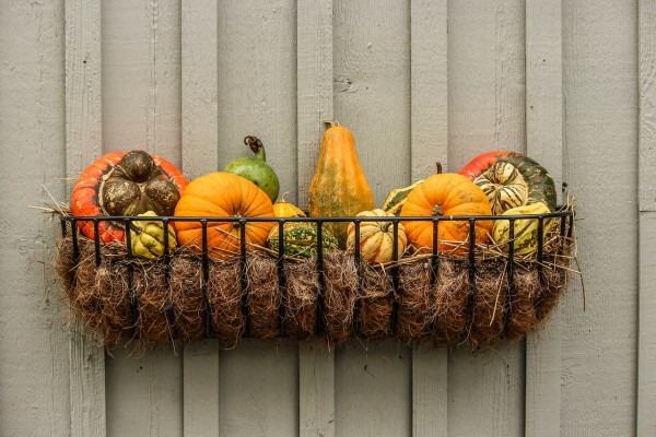 Thanksgiving decoration made of wire basket with hay and gourds on a wooden wall